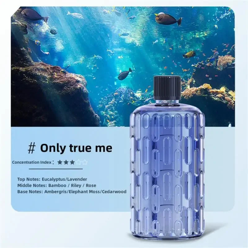 Ultrasonic Essential Oil Air Humidifier
